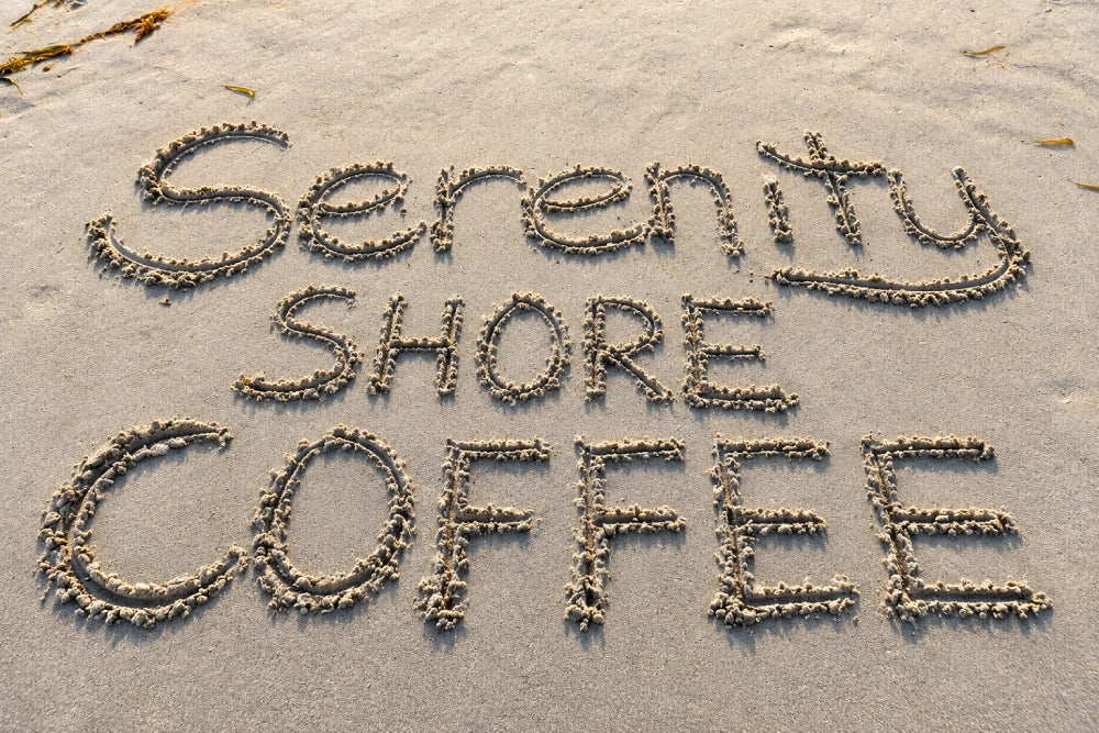 Our Story: From Beach Inspiration to a Movement for Restoration